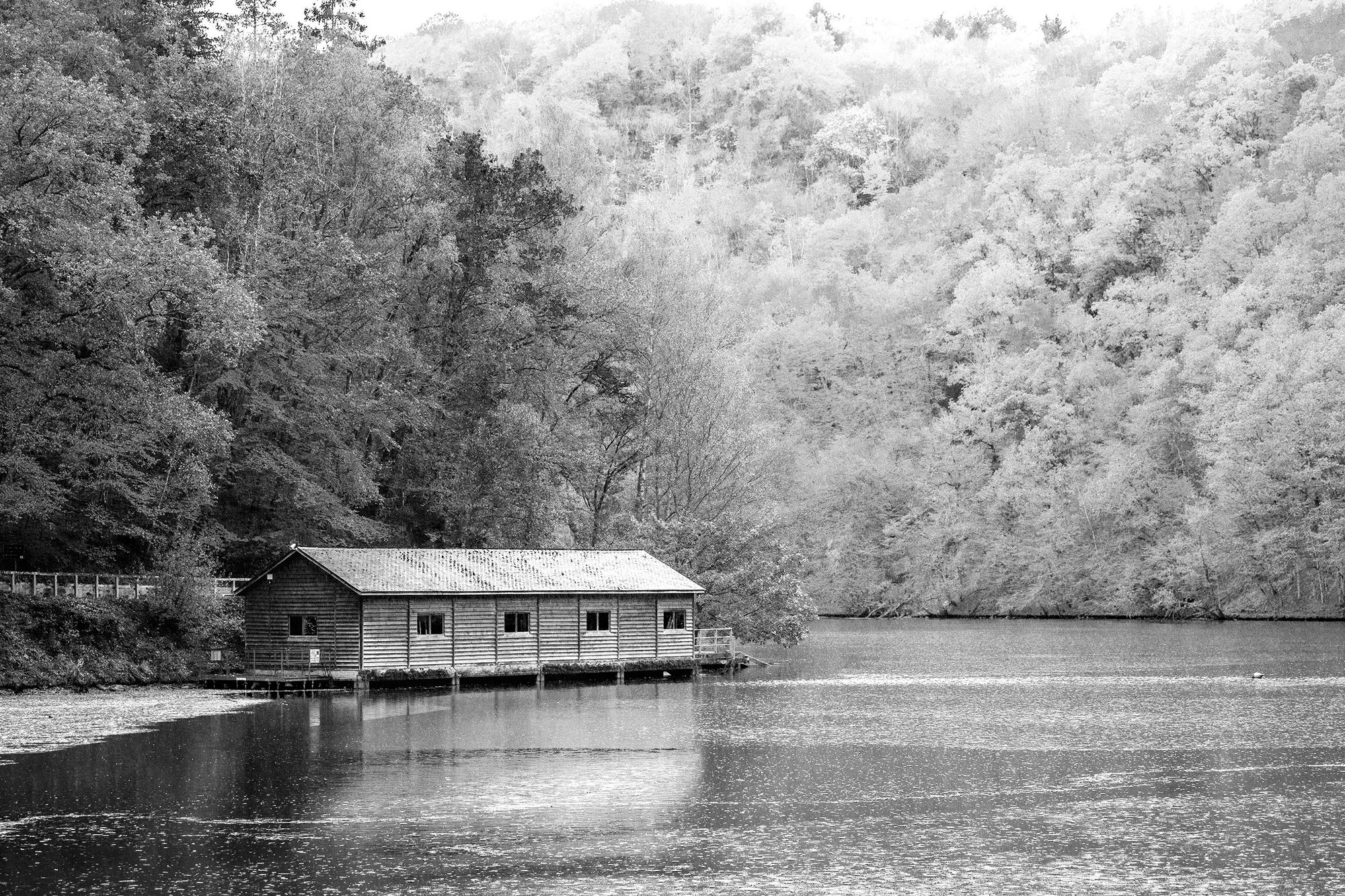 The Boathouse — misty morning on the lake