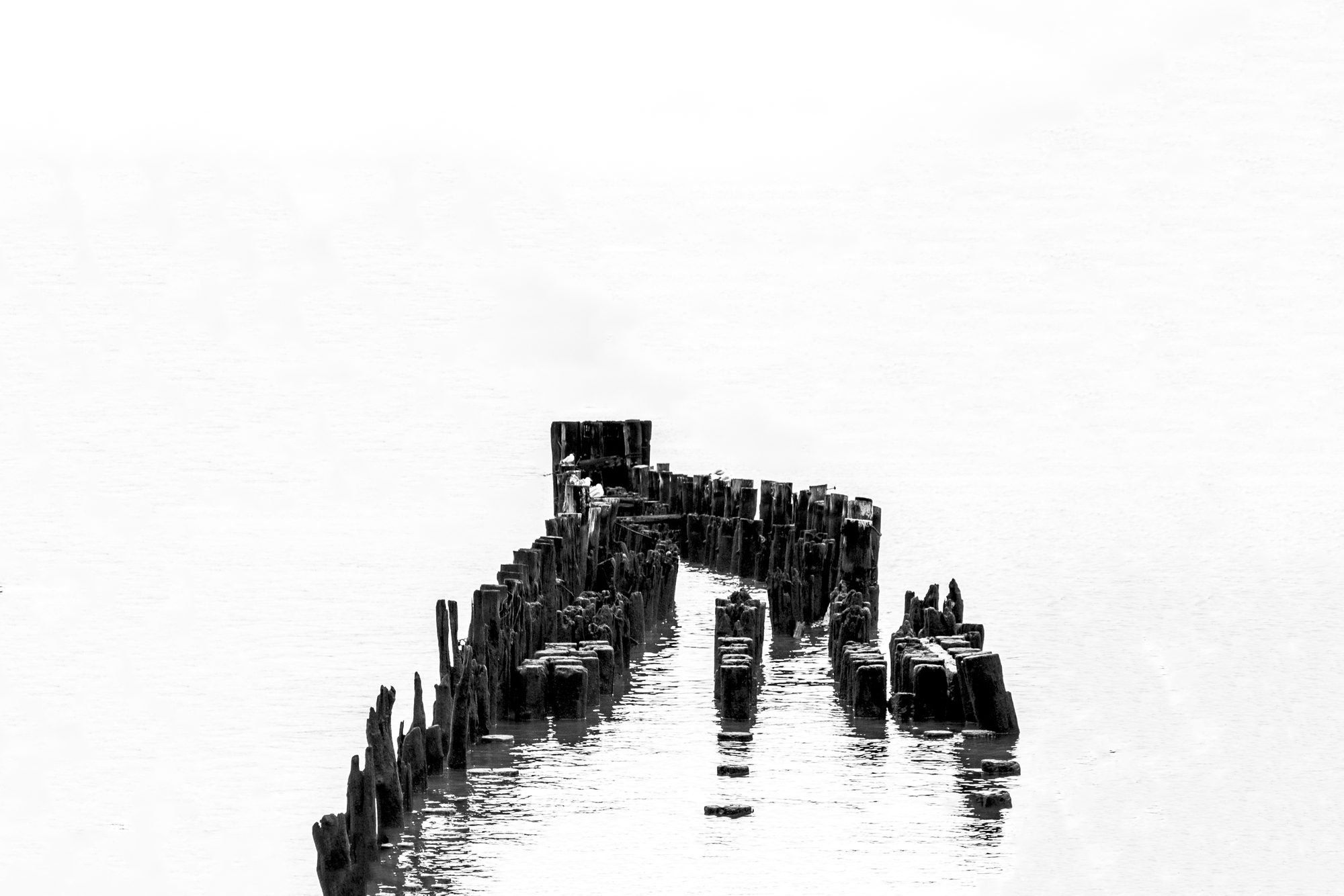 The Old Pier